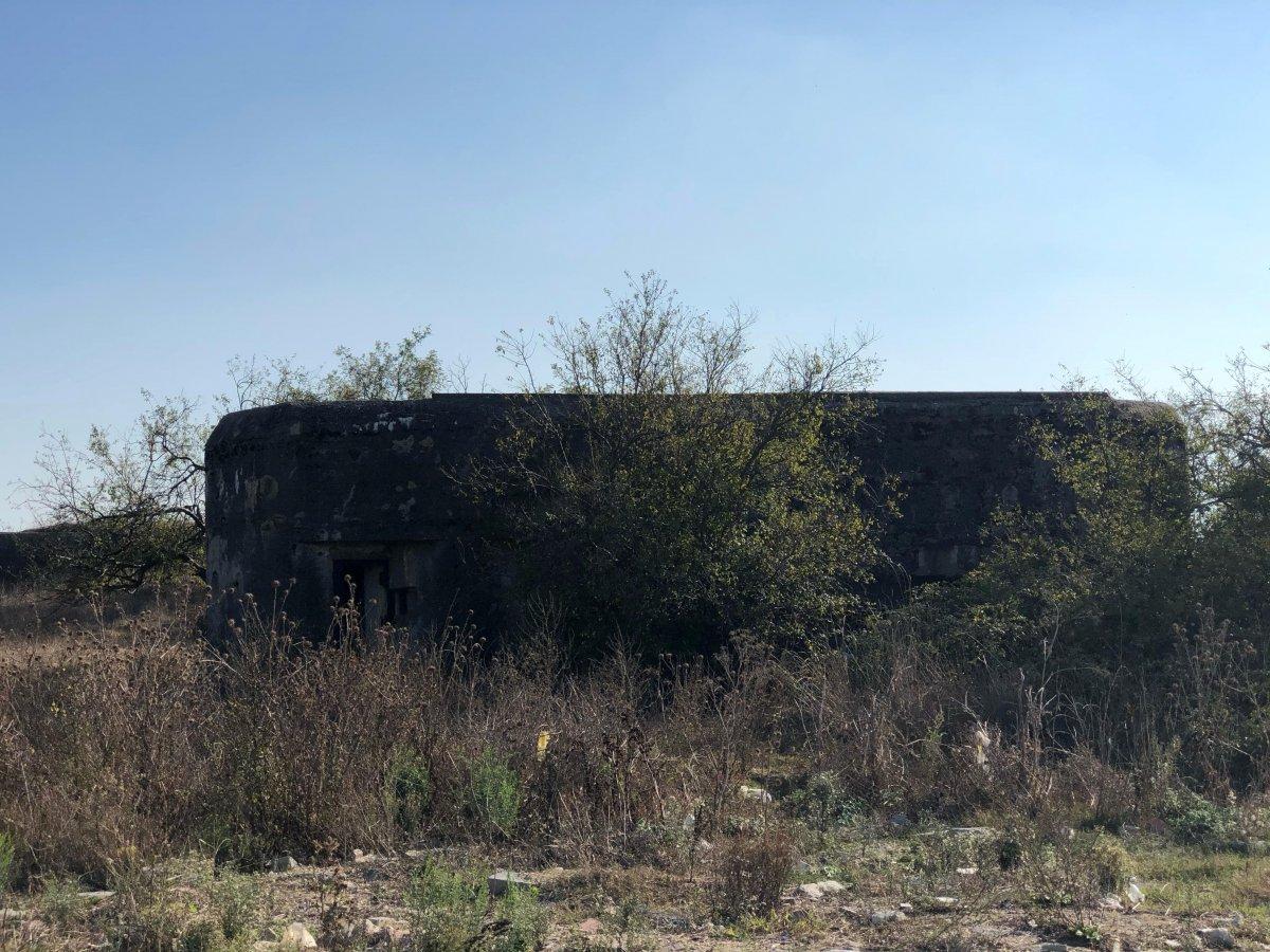 İstanbul'da barışma bahanesiyle kaçırdığı eşini öldürdü