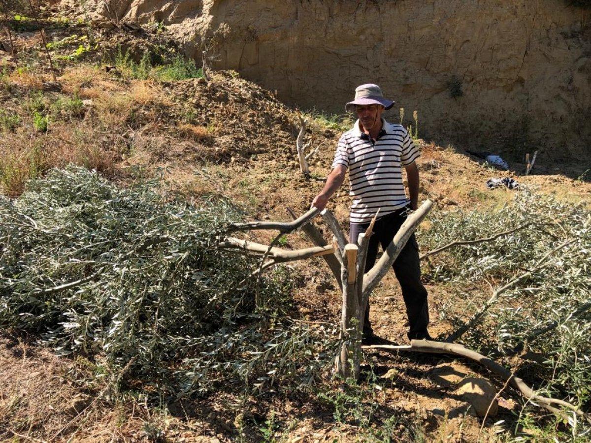 Manisa'da bahçesindeki 54 ağacı kesilip, kulübesine zarar verildi