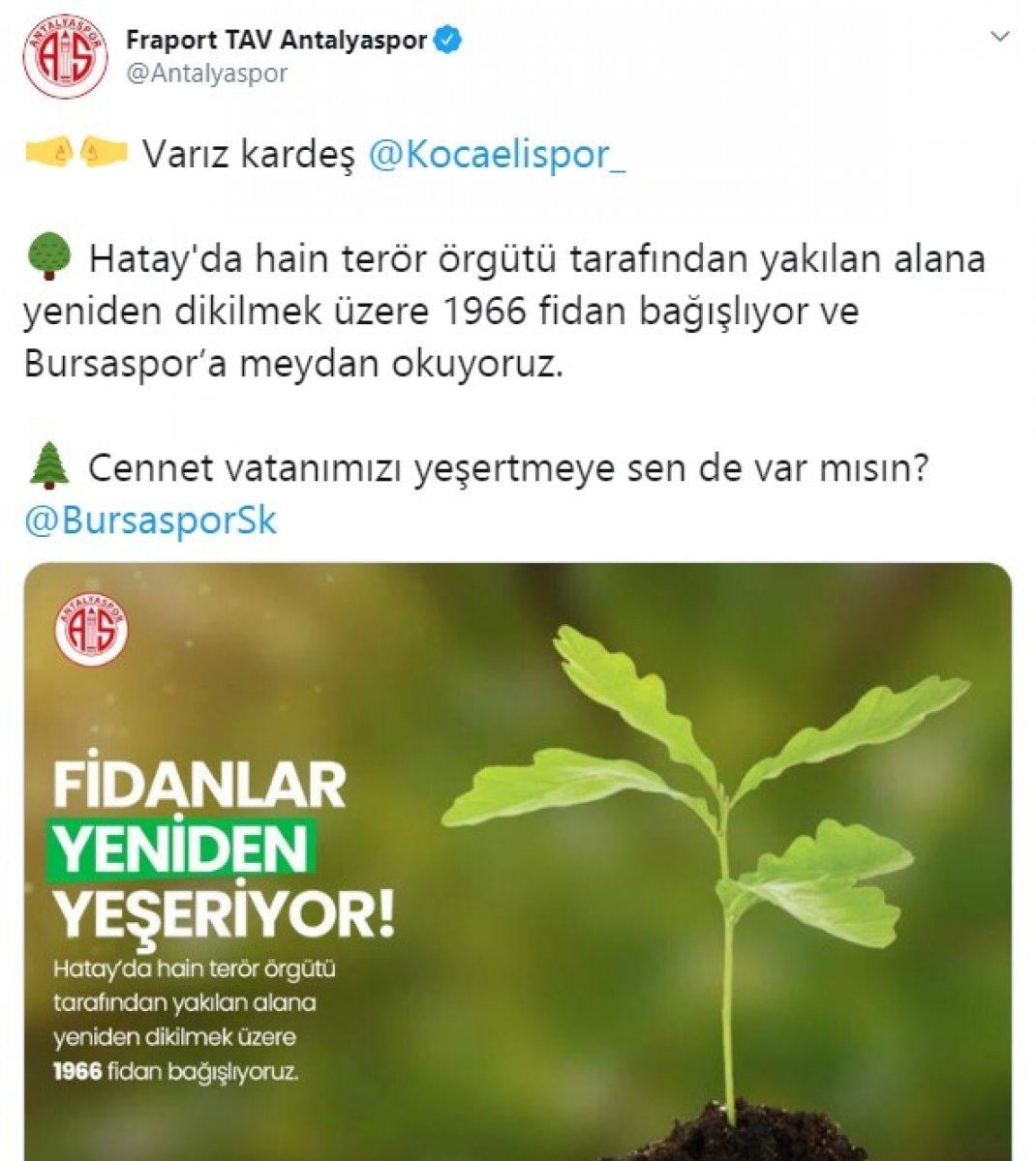 Spor kulüplerinden Hatay'a fidan desteği