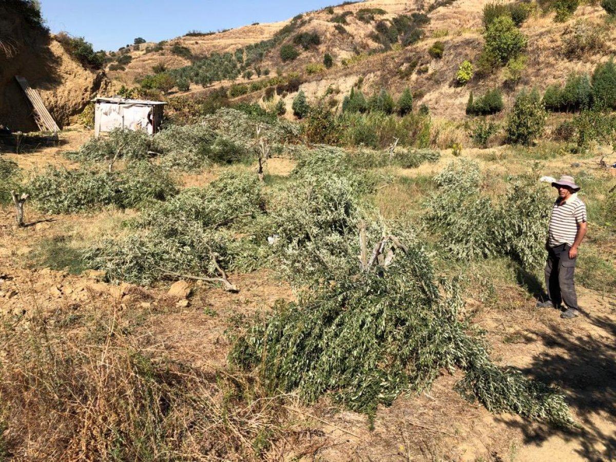 Manisa'da bahçesindeki 54 ağacı kesilip, kulübesine zarar verildi