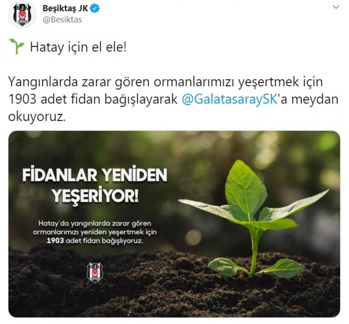 Spor kulüplerinden Hatay'a fidan desteği