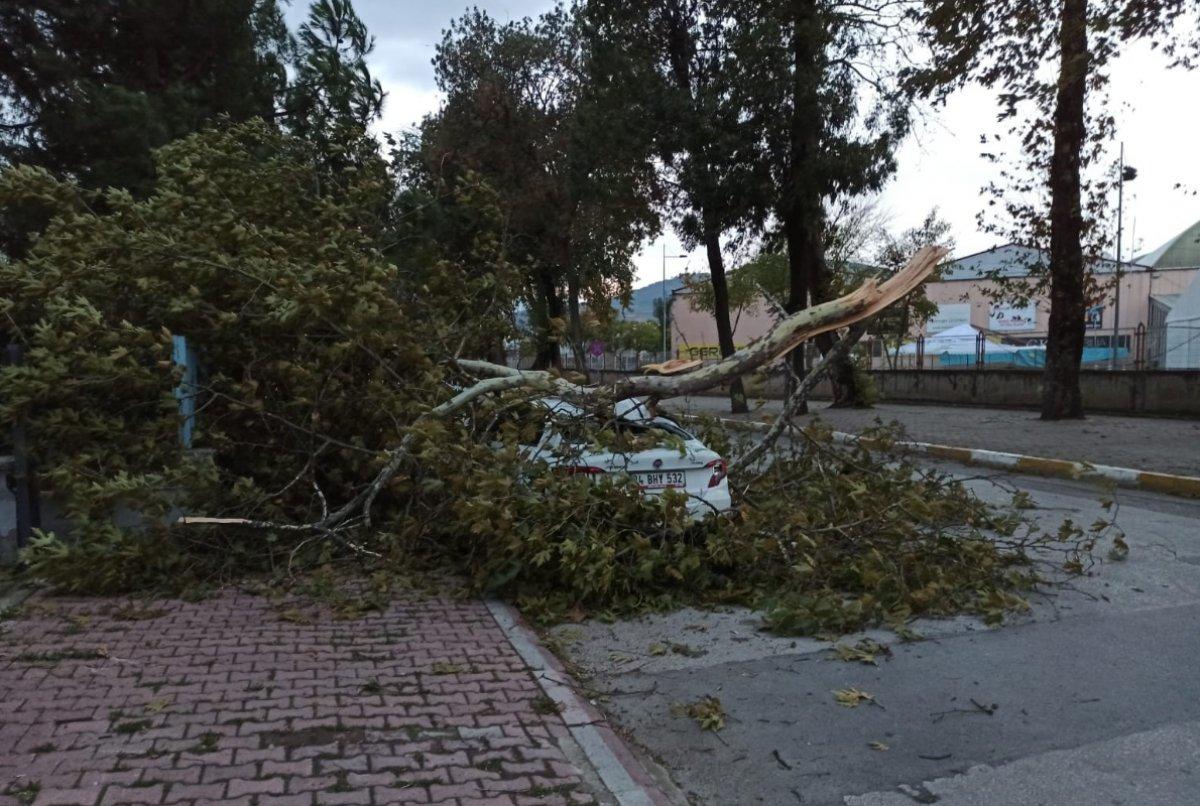 Bursa'da şiddetli lodos hayatı felç etti