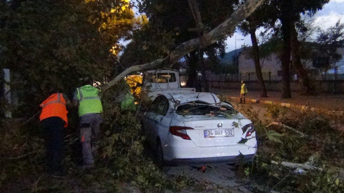 Bursa'da şiddetli lodos hayatı felç etti