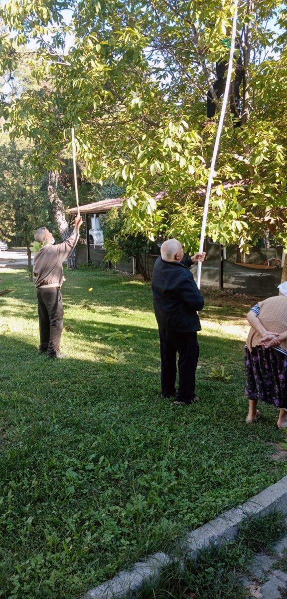 Muğla'da huzurevinde hasat şenliği