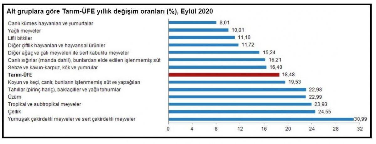 Tarım üretici fiyat endeksi
