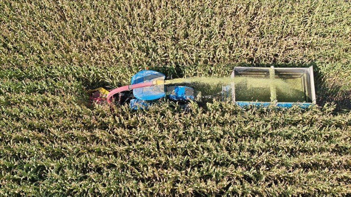 İmalat sanayi endeksinde tütünün artışı diğer ürünleri geçti