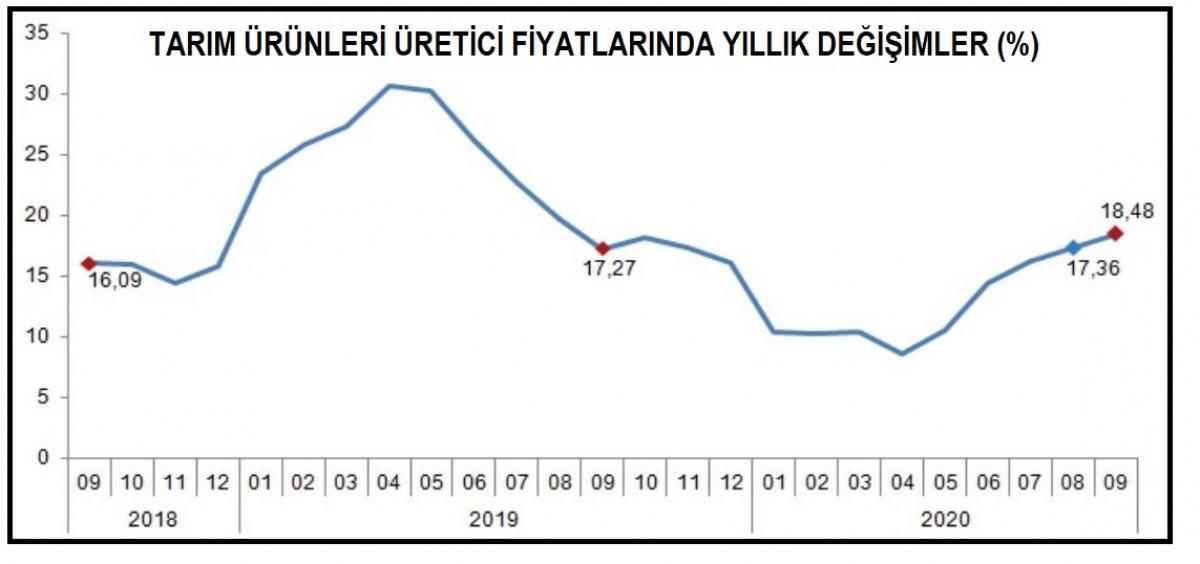 Tarım üretici fiyat endeksi