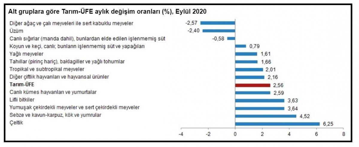Tarım üretici fiyat endeksi