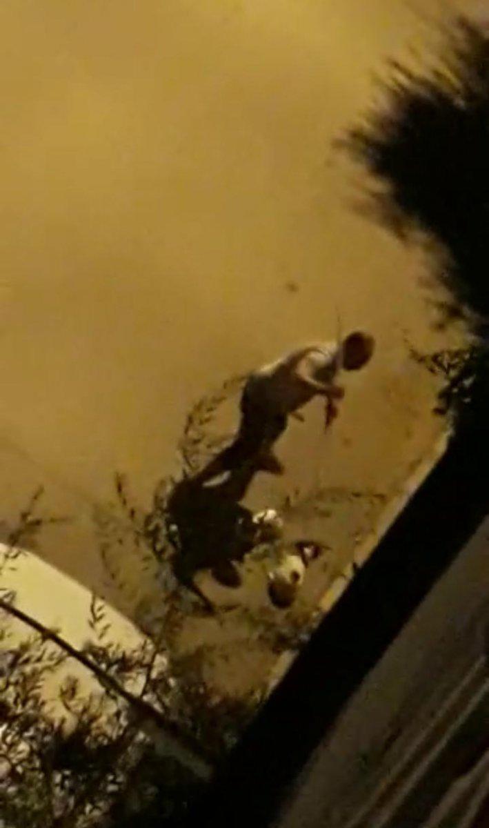 İzmir’de iki köpeğe boruyla şiddet uyguladı