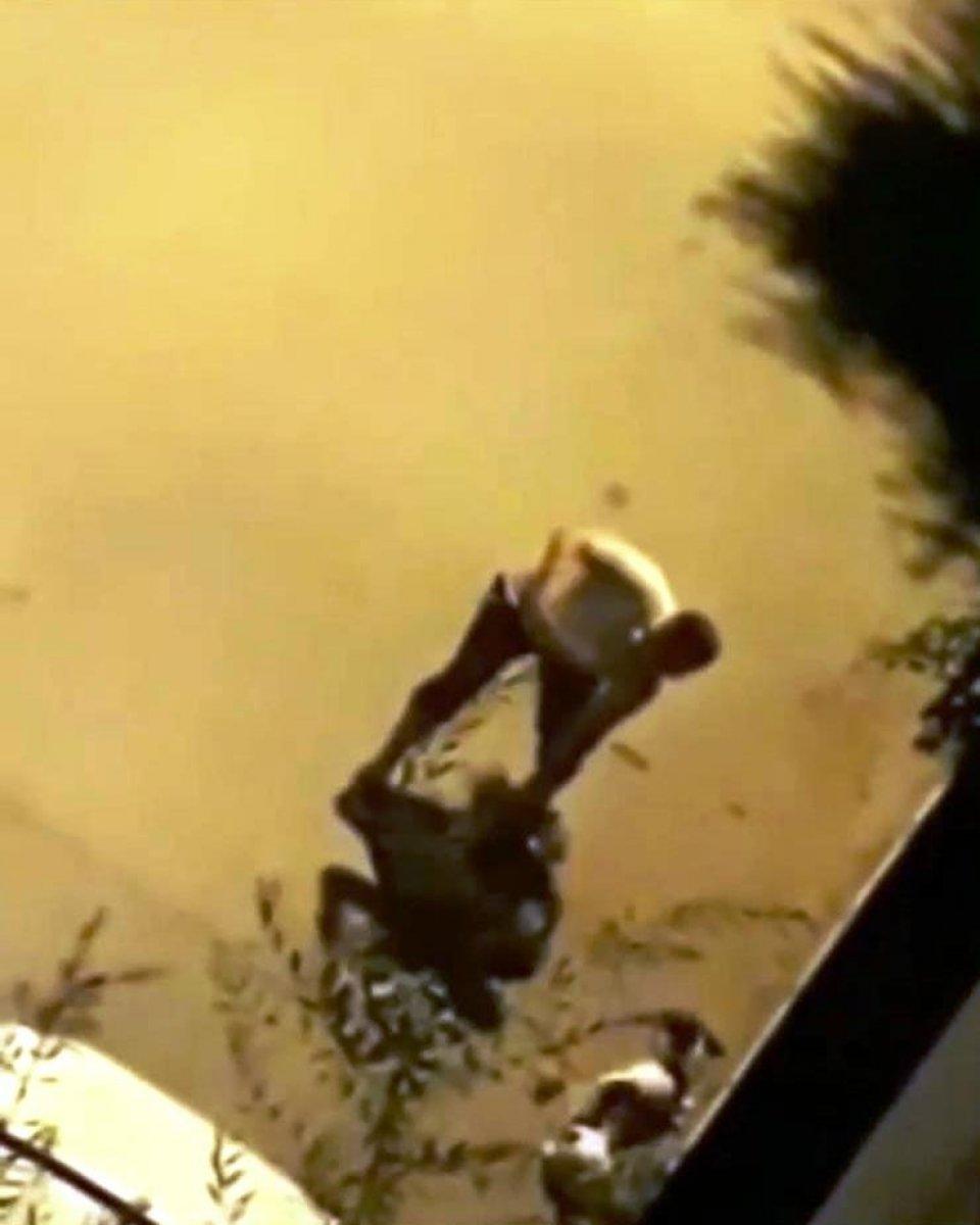 İzmir'de bir kişi su borusuyla köpeğe şiddet uyguladı