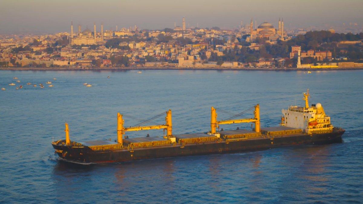 İstanbul Boğazı'nı geçen dev gemileri, yunus balıkları karşıladı