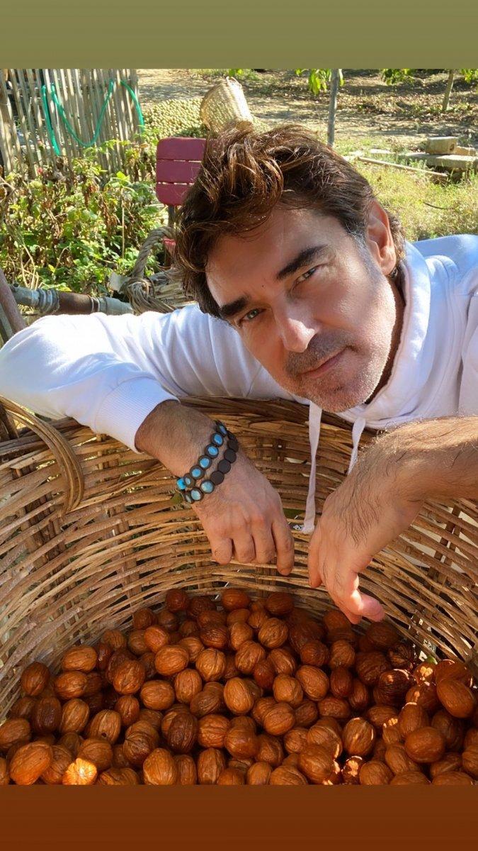 Burak Hakkı ceviz hasadına başladı