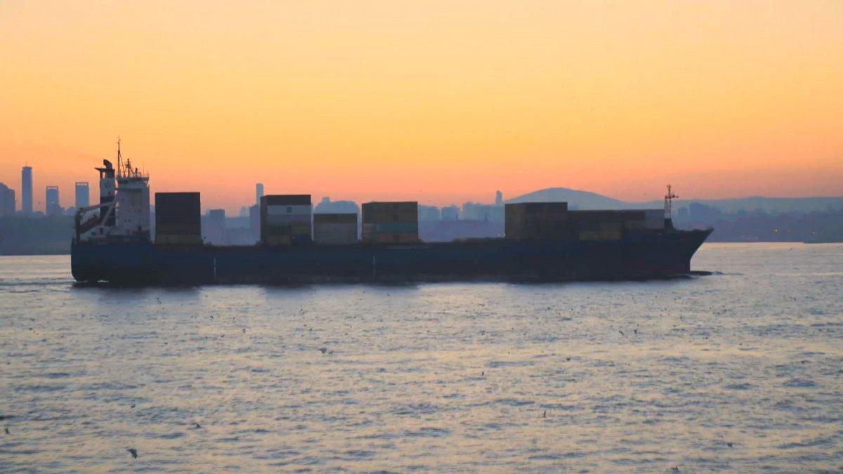 İstanbul Boğazı'nı geçen dev gemileri, yunus balıkları karşıladı