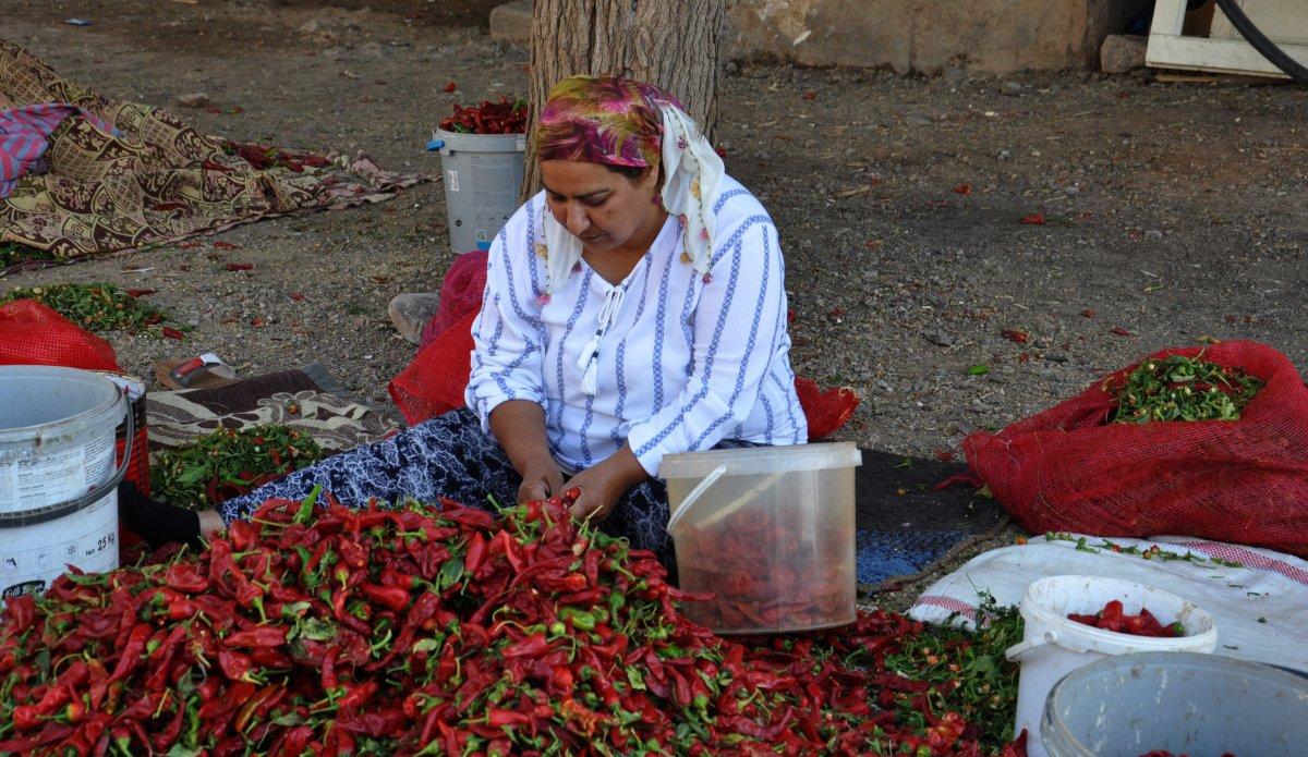 Gaziantep'te kimlik fotokopisini kaybetti, hayatı kabusa döndü