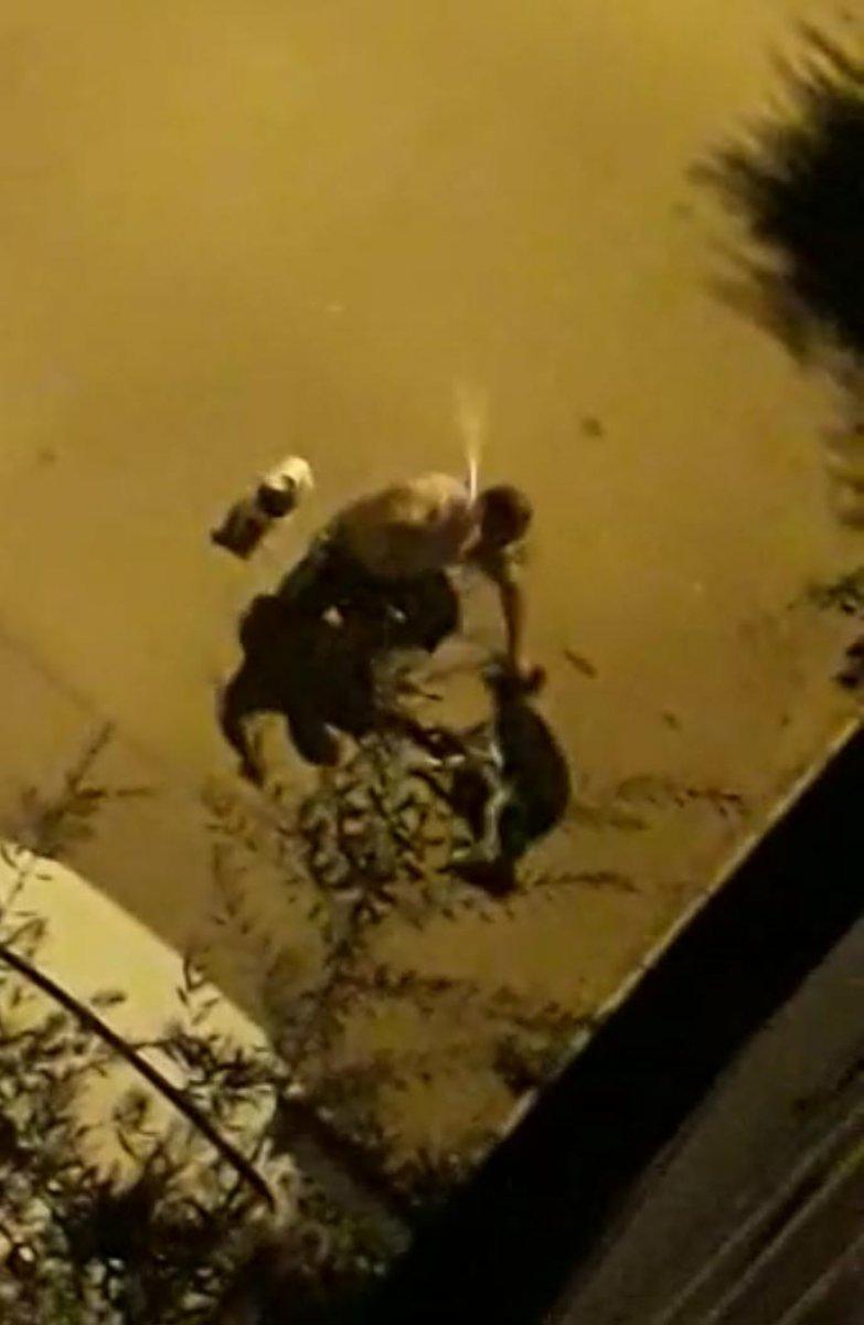 İzmir’de iki köpeğe boruyla şiddet uyguladı