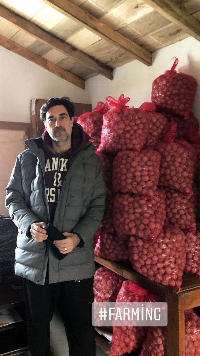 Burak Hakkı ceviz hasadına başladı