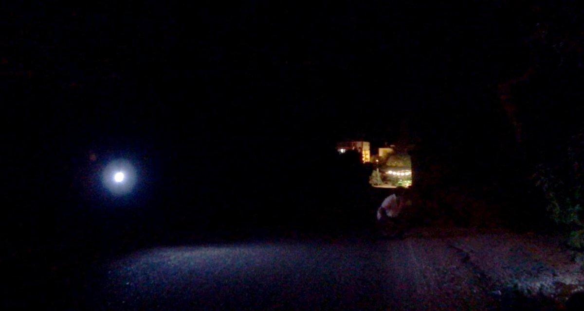 Antalya'da sabaha kadar tüfek ve sopayla avokado nöbeti tutuyorlar