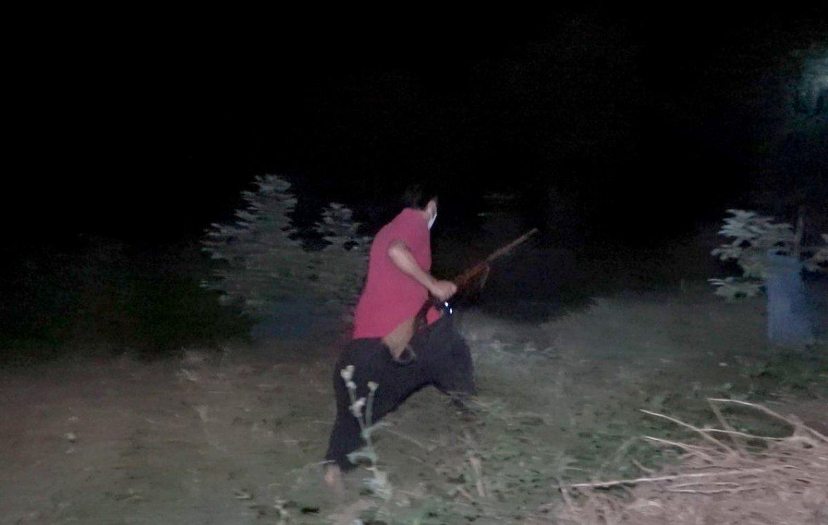 Antalya'da sabaha kadar tüfek ve sopayla avokado nöbeti tutuyorlar