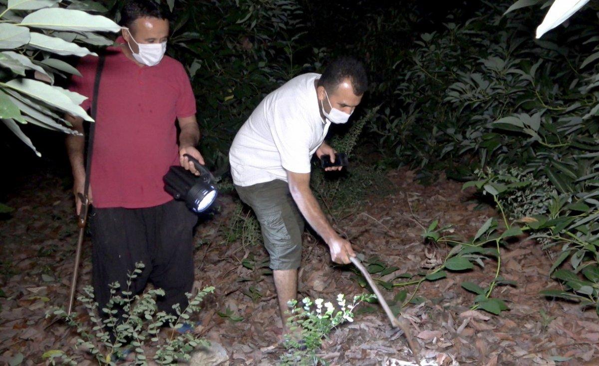 Antalya'da sabaha kadar tüfek ve sopayla avokado nöbeti tutuyorlar