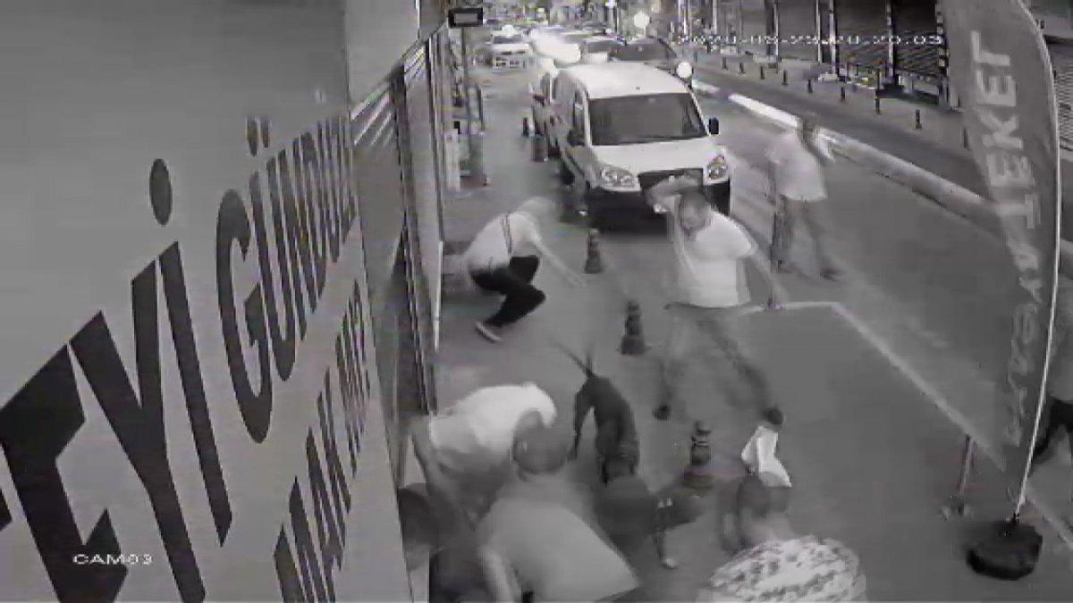 Kadıköy'deki kavgaya köpekler de karıştı