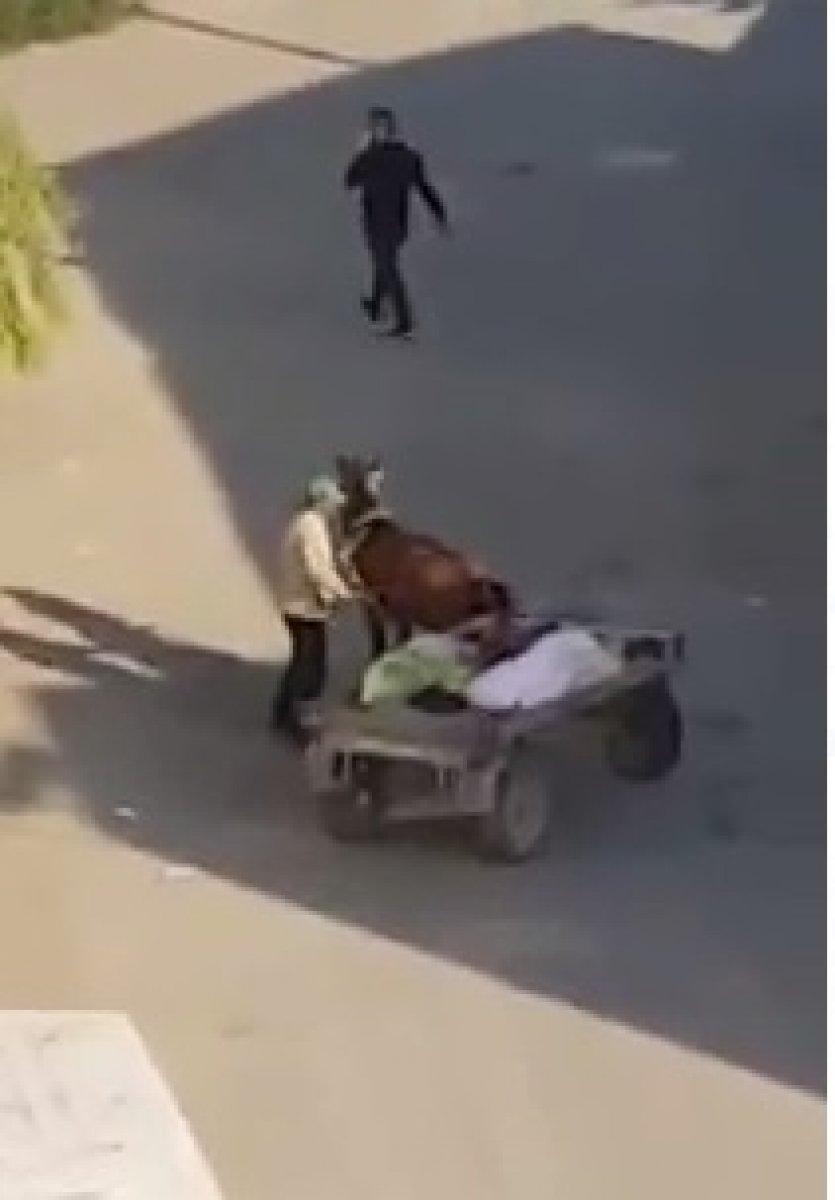 Iğdır'da yorgun ata şiddet uyguladı