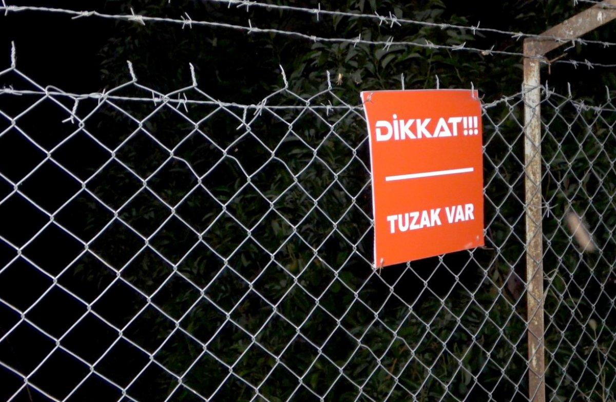 Antalya'da sabaha kadar tüfek ve sopayla avokado nöbeti tutuyorlar