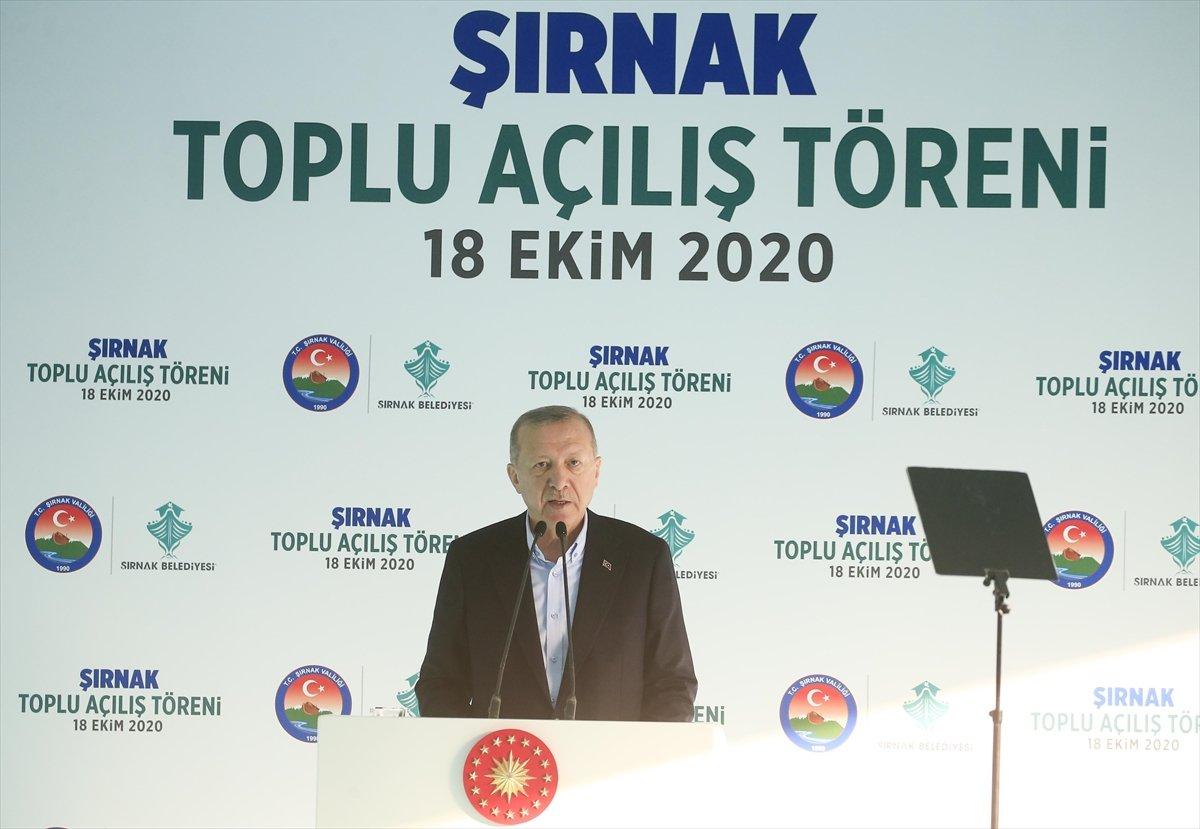 Cumhurbaşkanı Recep Tayyip Erdoğan, Şırnak'ta toplu açılış törenine katıldı