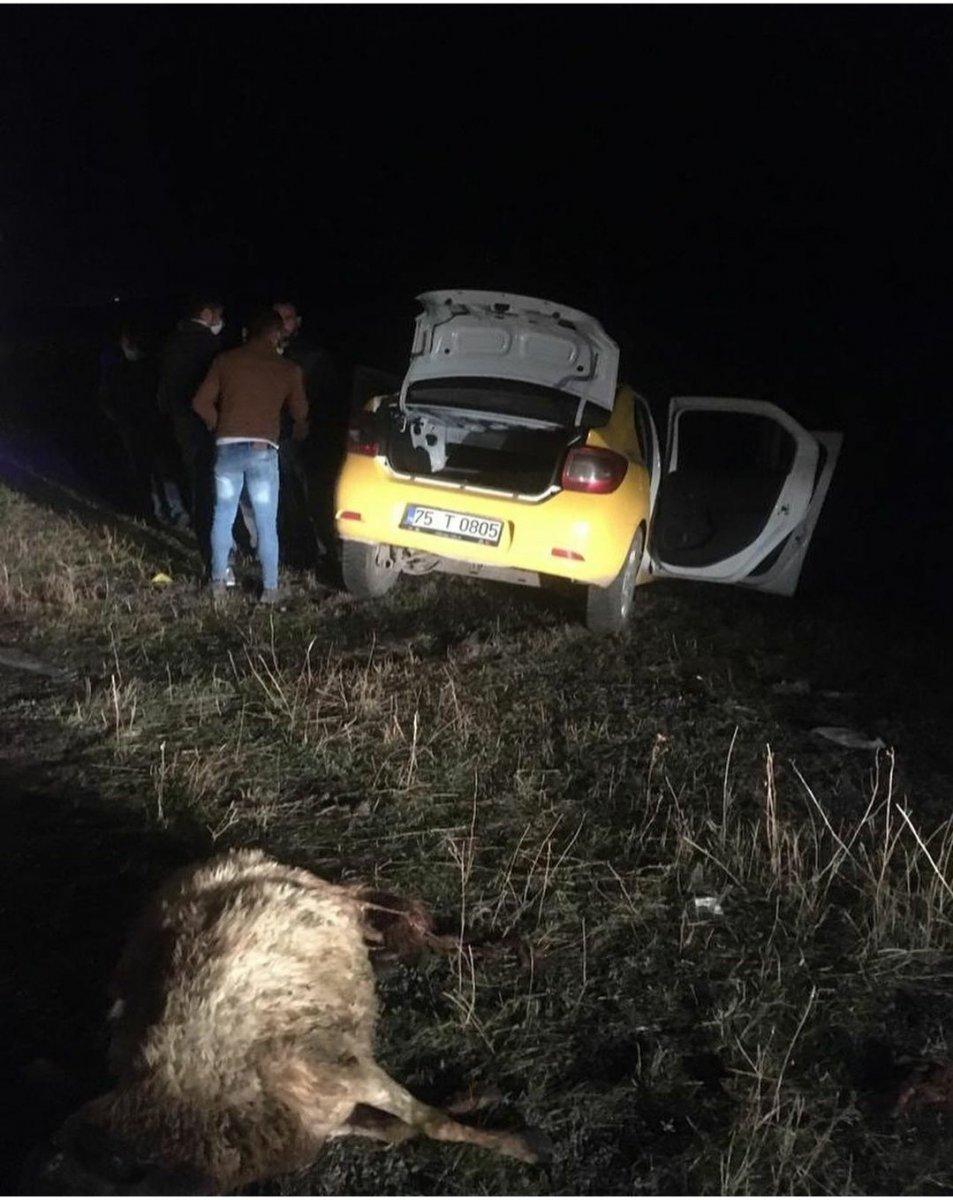 Ardahan'da yola çıkan koyunlar kazaya neden oldu: 2 ölü 2 yaralı