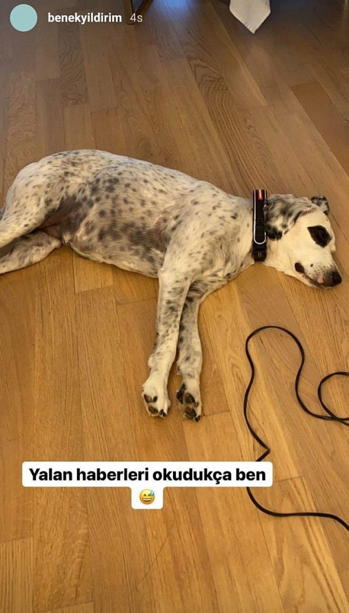 Hadise'yi üzdüler