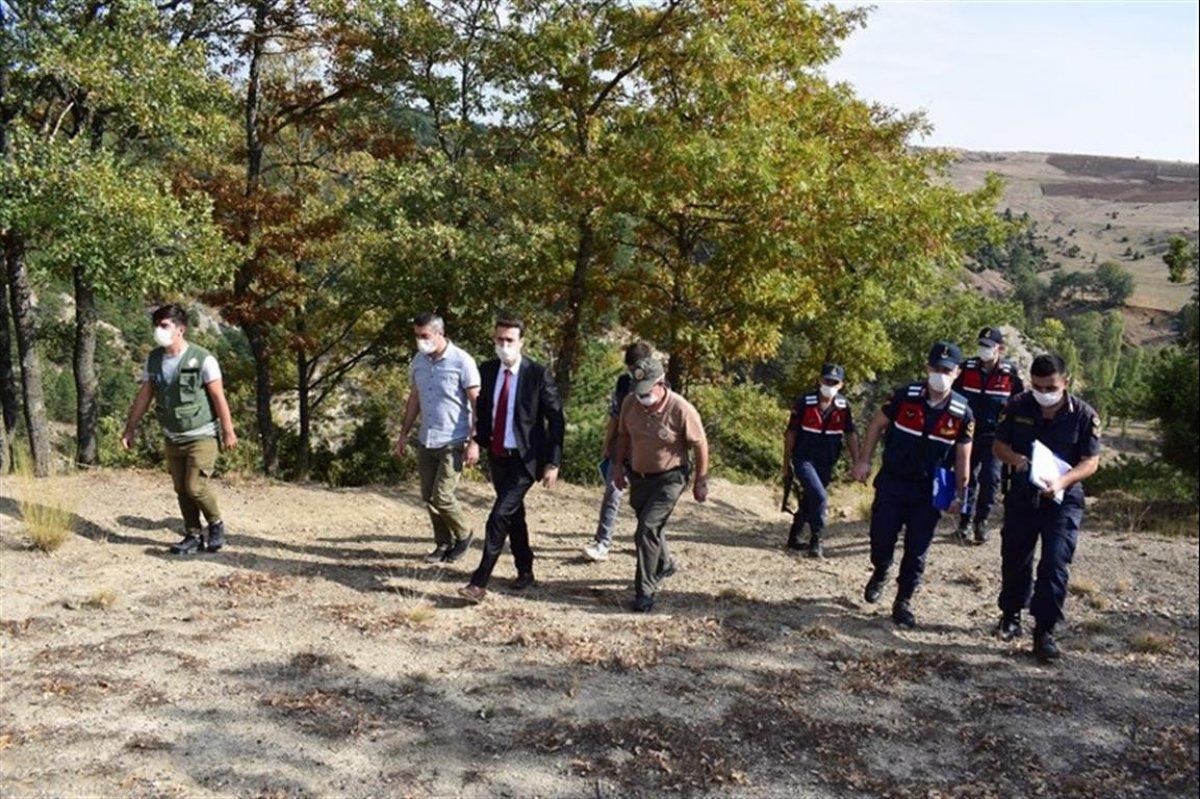 Bilecik'te keçilerine yedirmek için 34 meşe ağacını kesti