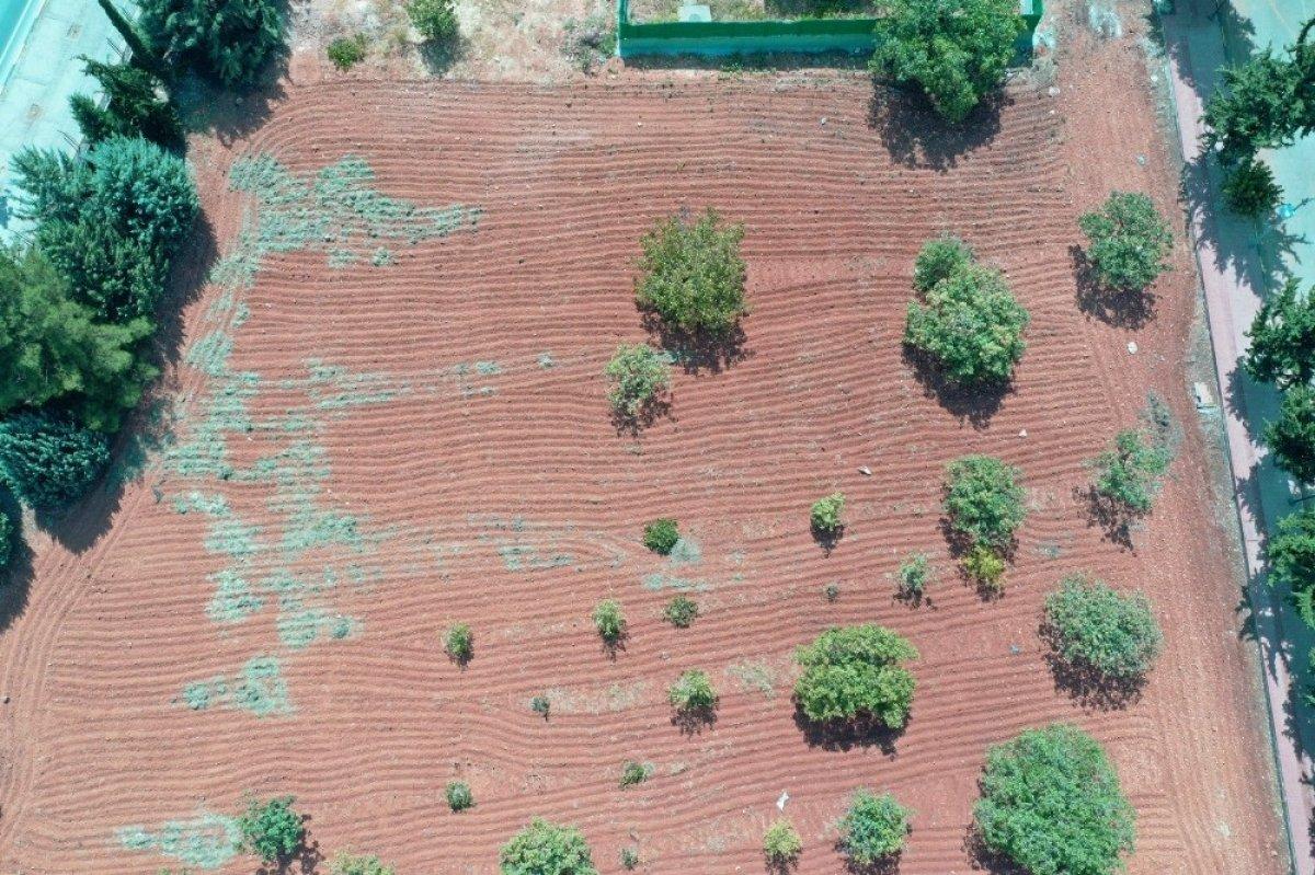 Gaziantep medikal sanayi hamlesi
