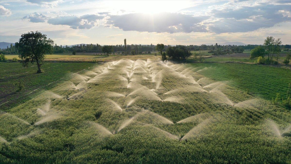 Tarım ve sulamaya ayrılan sütçe arttı