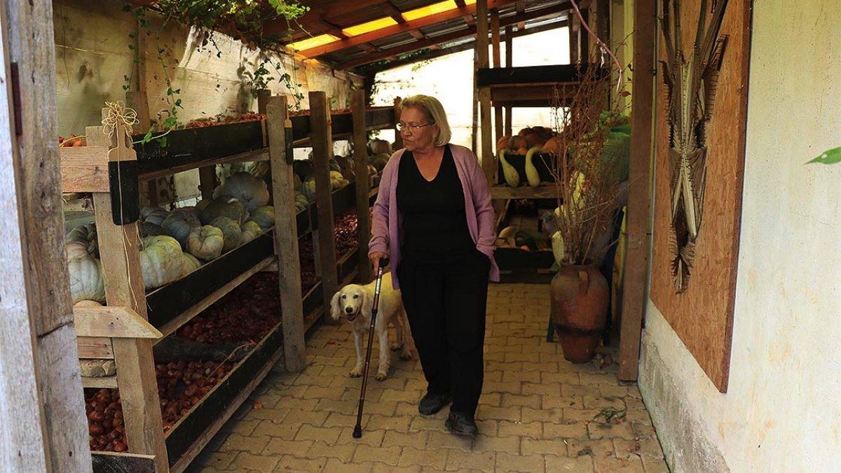 Kandıra'nın Nar Anne'si, 60 yılda 1200 ata tohum topladı