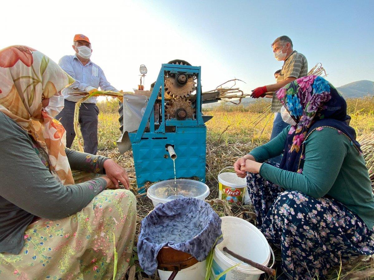 Düzce'de üretilen şeker kamışı pekmezi şifa kaynağı