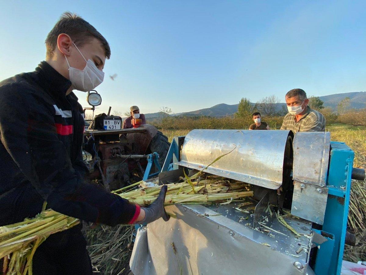 Düzce'de üretilen şeker kamışı pekmezi şifa kaynağı