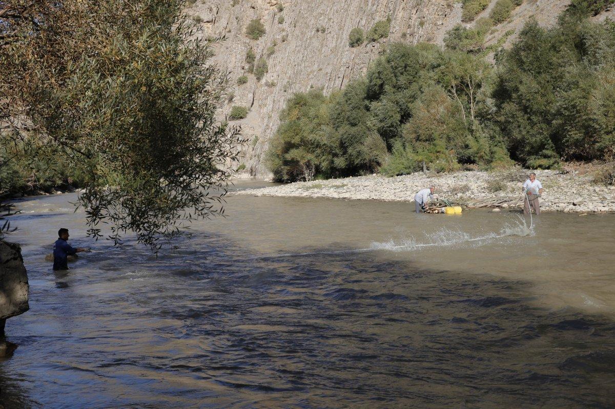 Zap Suyu’ndan odun topluyorlar