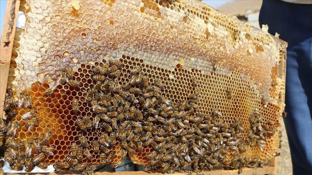 Arıcılık da destekleniyor