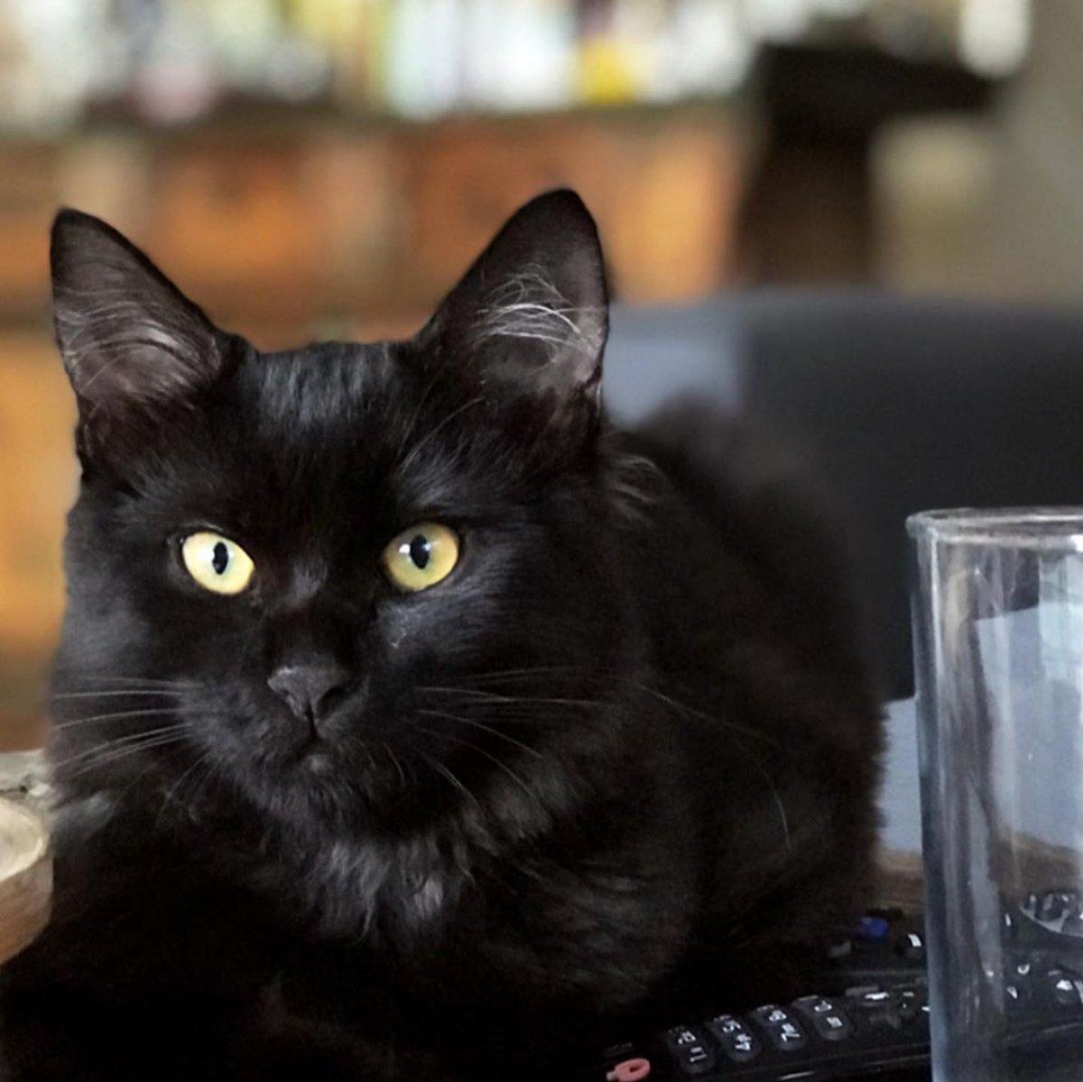 Ece Uslu: Herkesi kendine aşık ettin de gittin