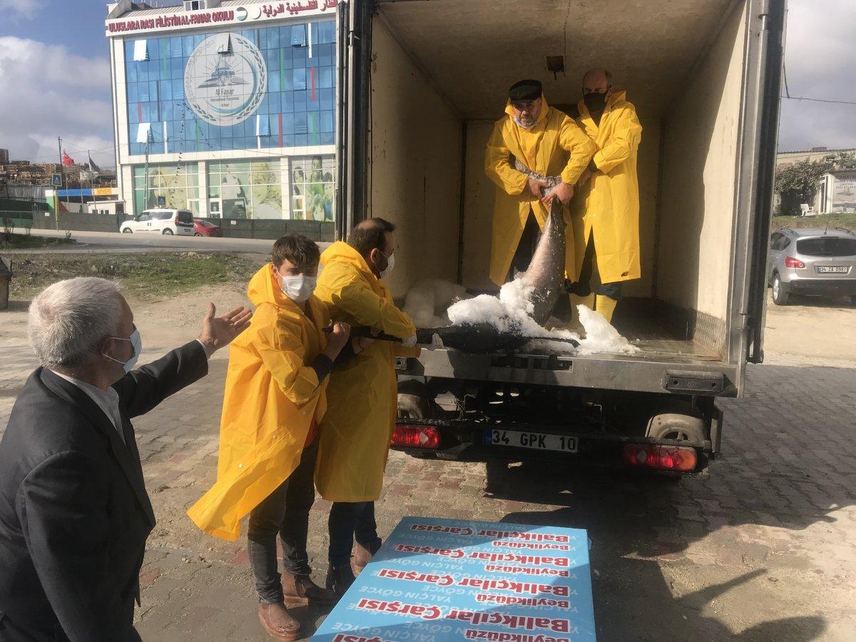 Marmara Denizi açıklarında 3 metrelik kılıç balığı yakalandı