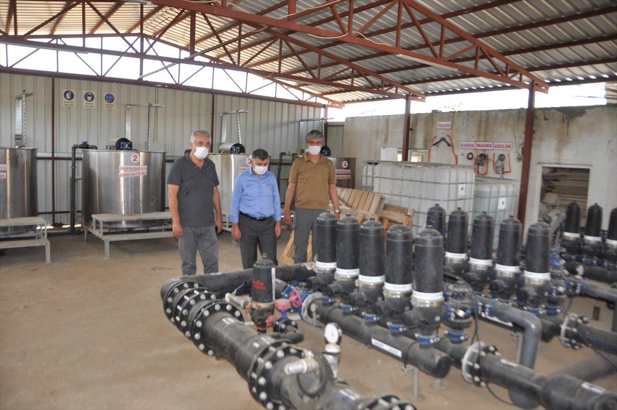 Adıyaman'da ceviz hasadı