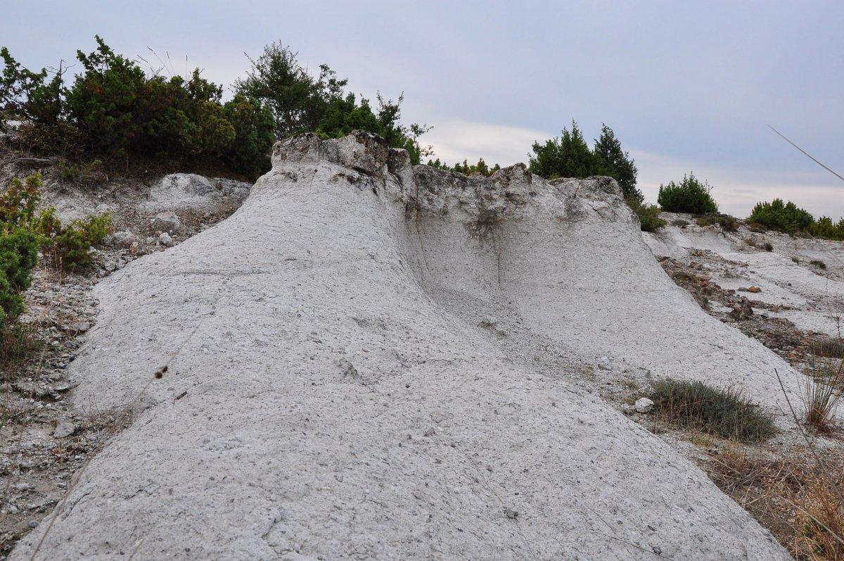 Manisa'da 21 milyon yıllık fosil ağaç ormanı kaybolma tehlikesiyle karşı karşıya