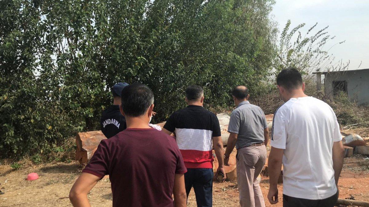 Adana'da akrabalar arasında ağaç kesme kavgası: 2 ölü