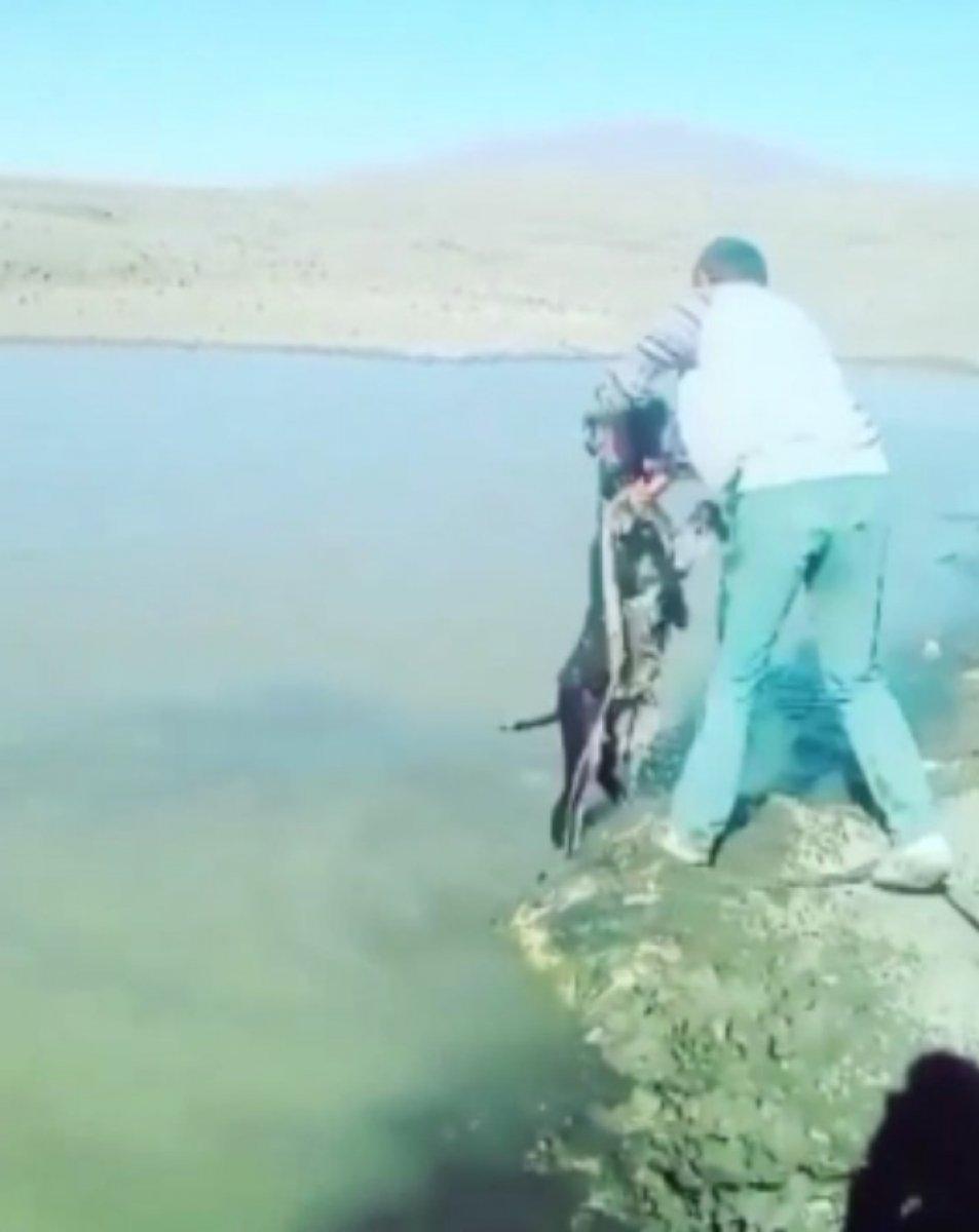 Kars'ta eşeğe eziyet eden iki kişiye ceza verildi