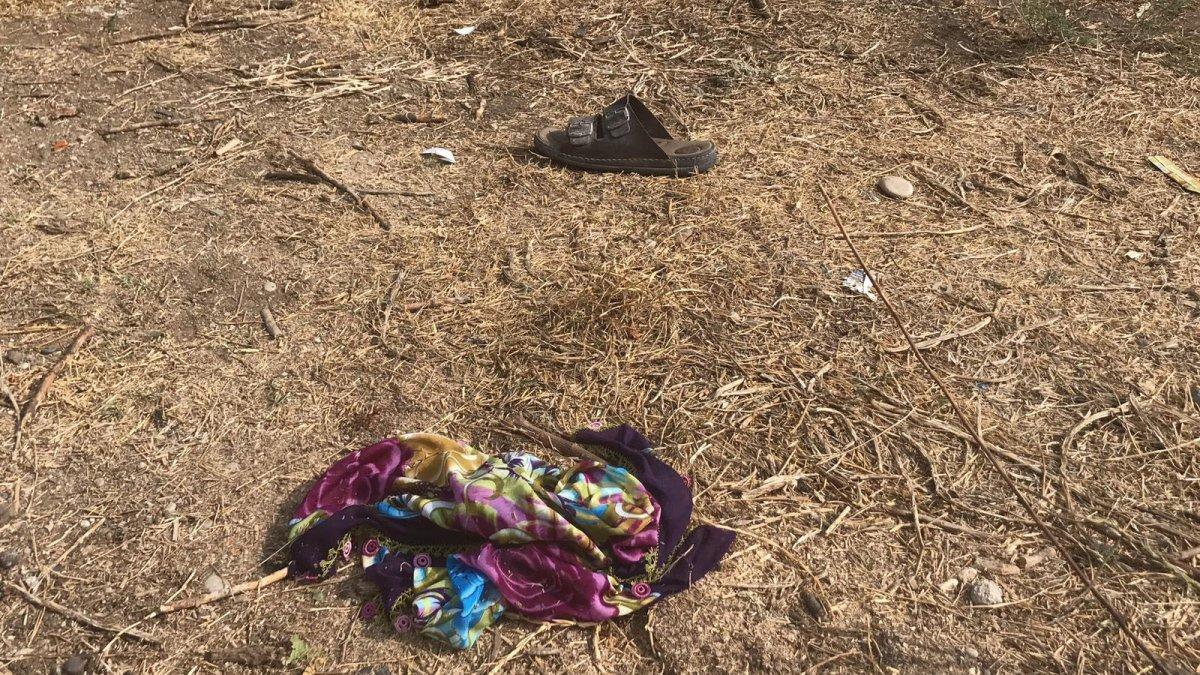 Adana'da akrabalar arasında ağaç kesme kavgası: 2 ölü