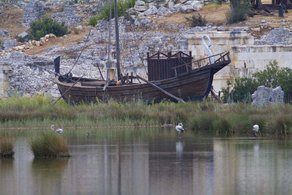 Demre’deki Çayağzı sulak alanında, 6 genç flamingo görüntülendi