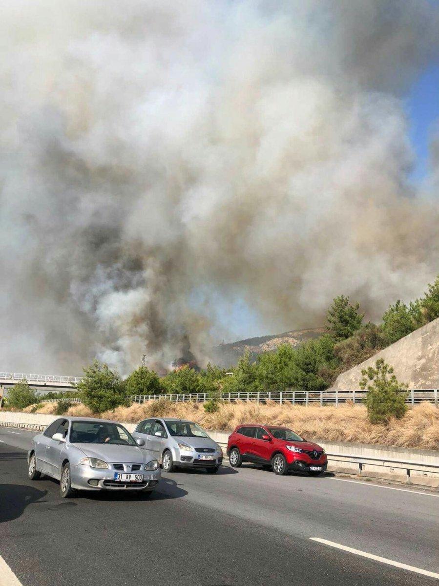 Hatay'da bir günde 4 farklı noktada orman yangını