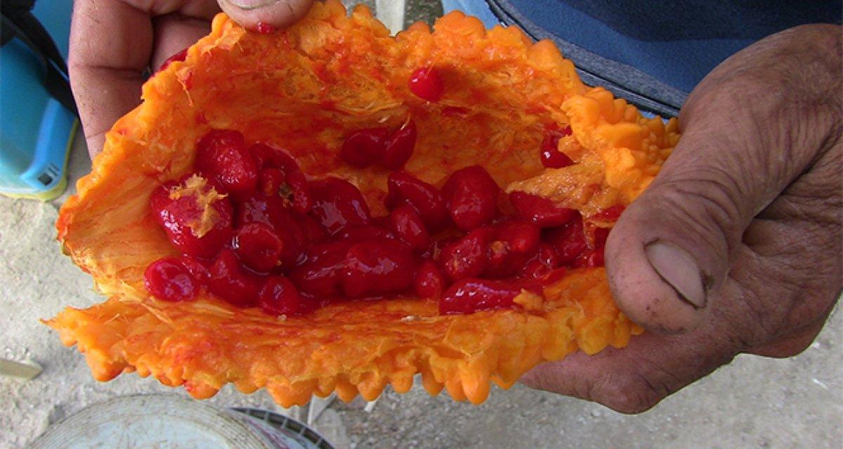 Kudret narı nedir, nasıl tüketilir? Kudret narının faydaları nelerdir?