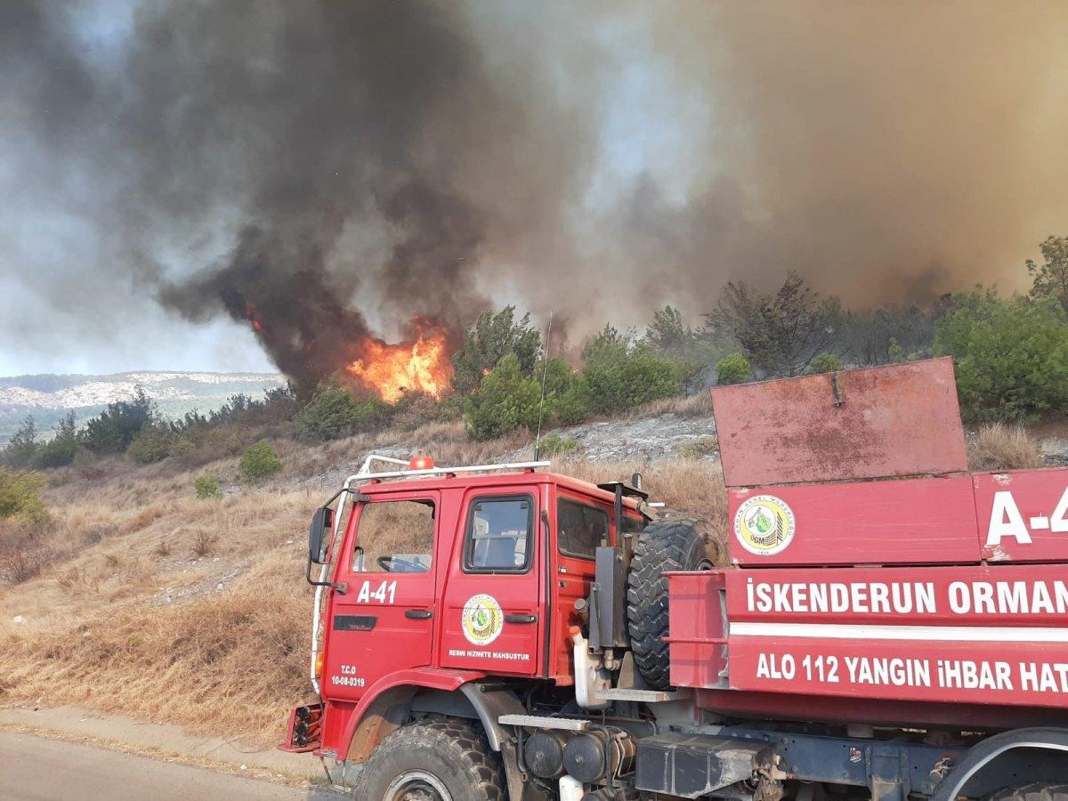 Hatay'da bir günde 4 farklı noktada orman yangını