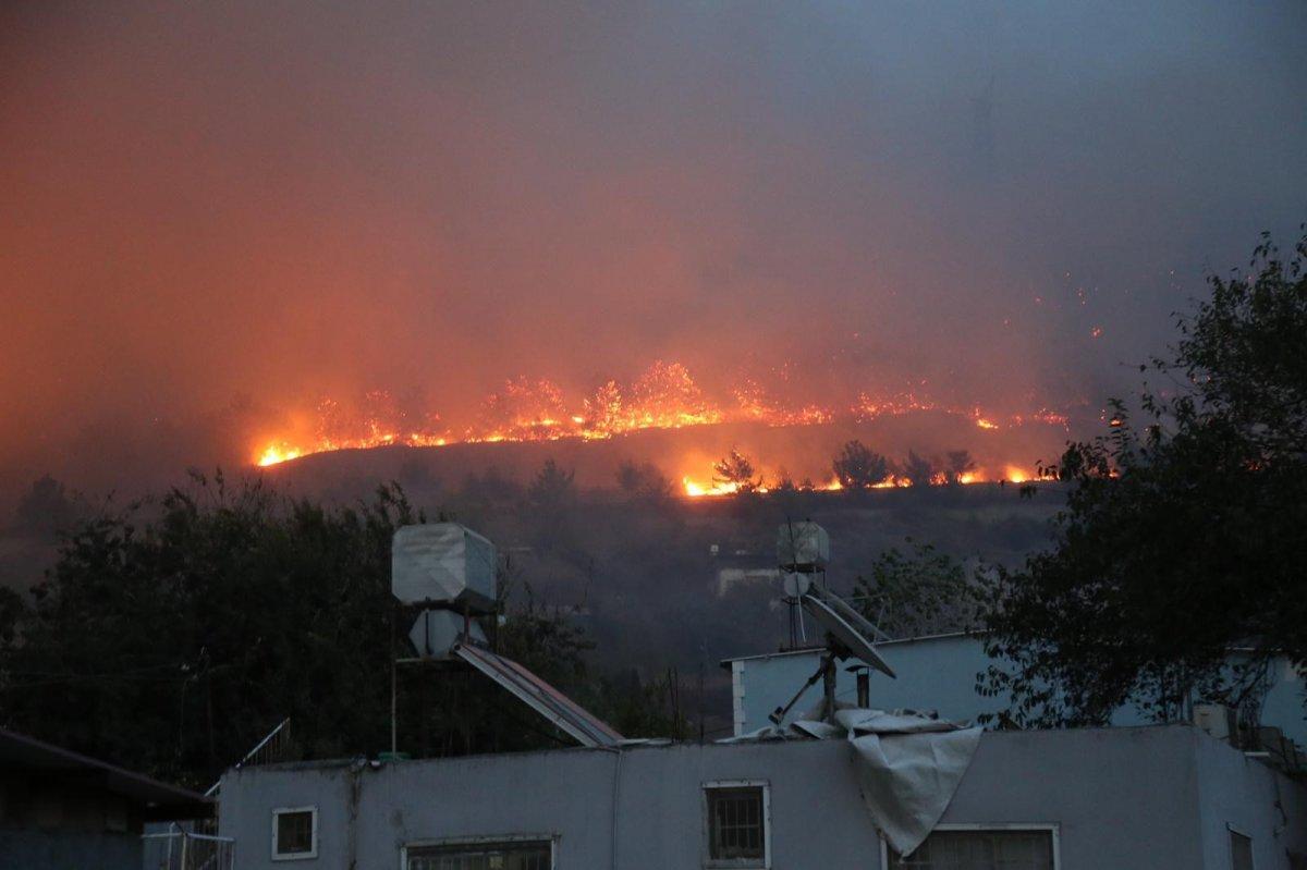 Hatay'da bir günde 4 farklı noktada orman yangını
