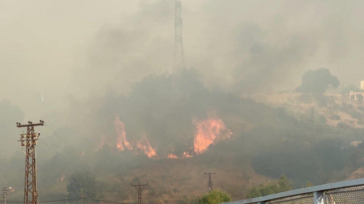 Hatay'da bir günde 4 farklı noktada orman yangını